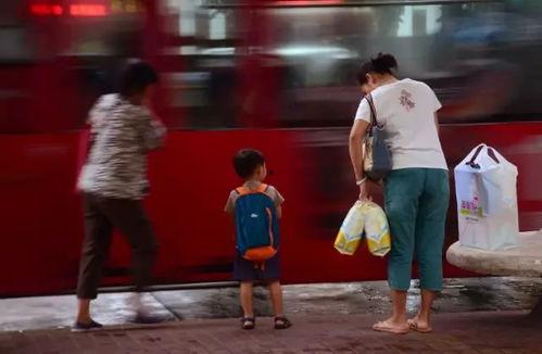 再见老陈,一段难忘的师生情缘