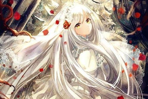 绝世强医,医术超群,拯救生命奇迹