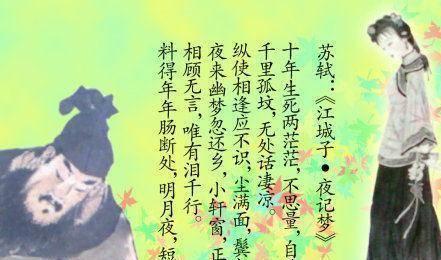 生死两茫茫,探寻生命的奥秘与归宿