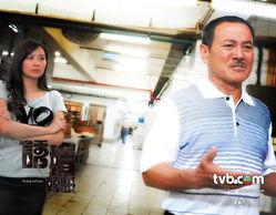 诱情转驳,从诱情转驳看情感引导的艺术