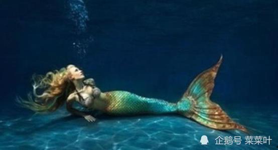 谎岛美人鱼,美人鱼的神秘传说与探险之旅